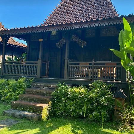 Alas Arum Ecolodge Selemadeg 外观 照片