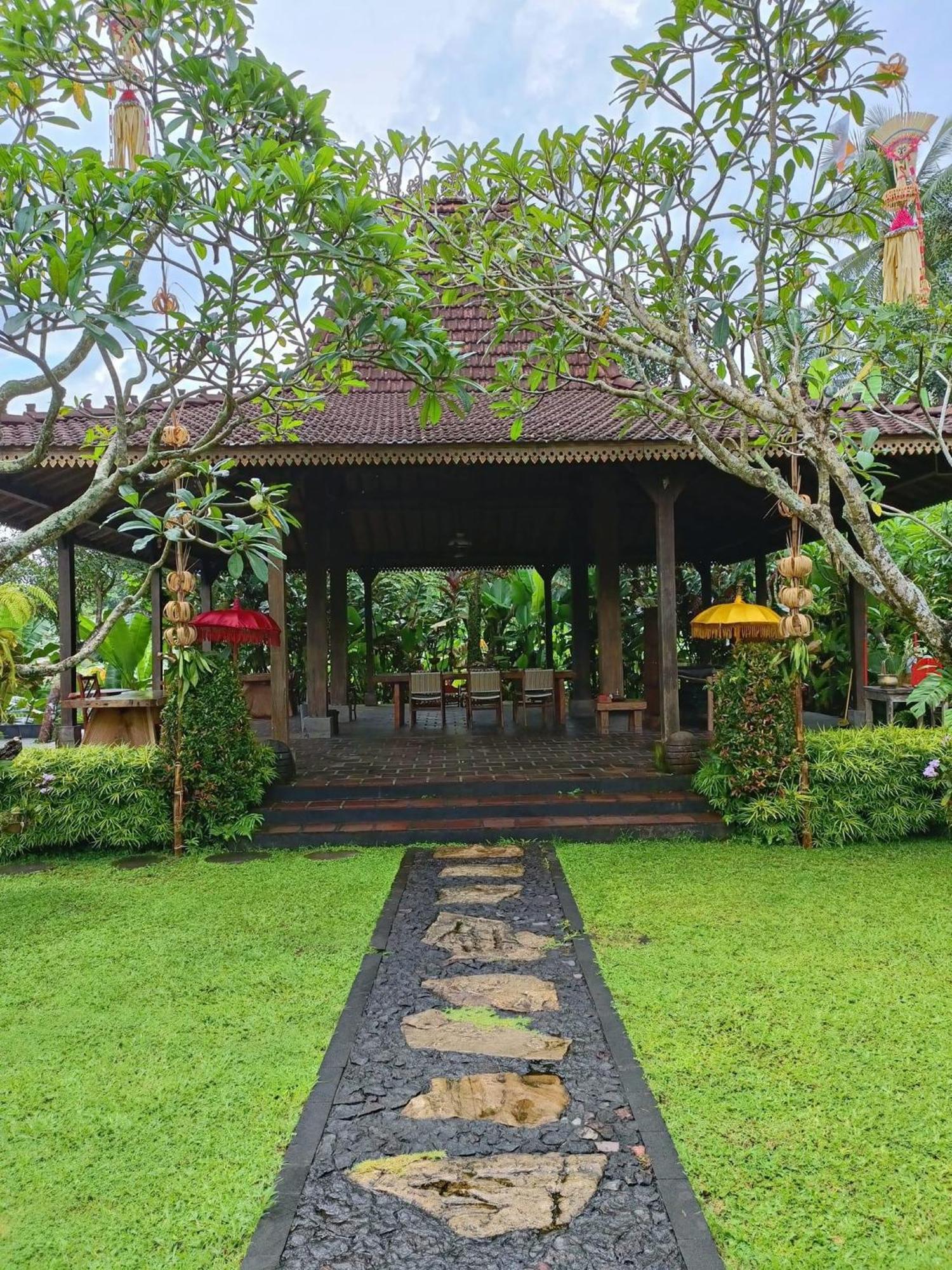 Alas Arum Ecolodge Selemadeg 外观 照片